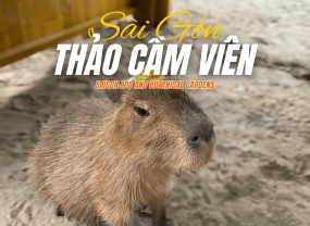 🌆 SÀI GÒN ĐI ĐÂU CHƠI? 📍THẢO CẦM VIÊN – ĐIỂM ĐẾN CHO CẢ NHÀ DỊP HÈ NÀY